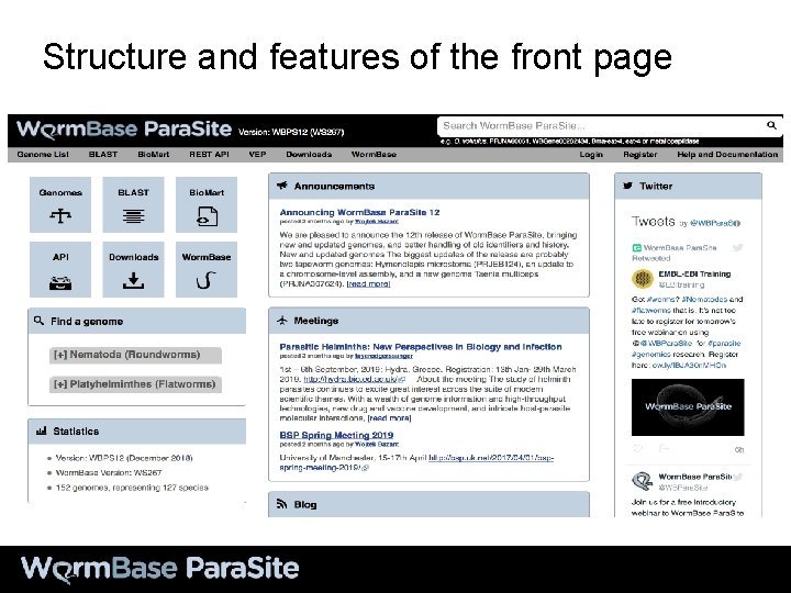 Structure and features of the front page 