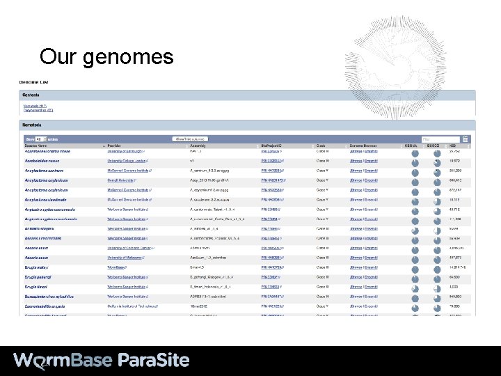 Our genomes 