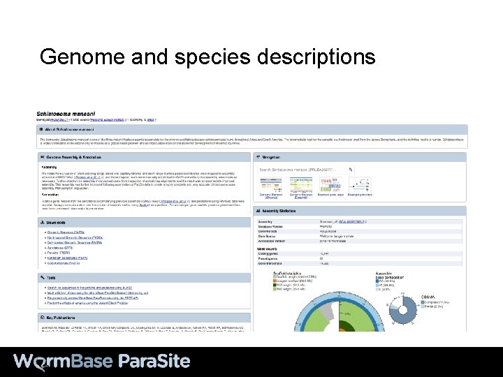 Genome and species descriptions 
