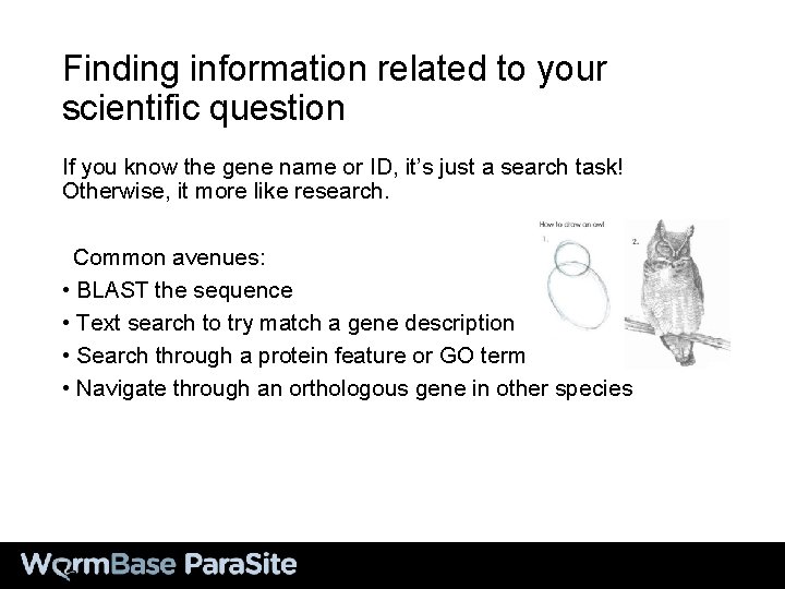 Finding information related to your scientific question If you know the gene name or