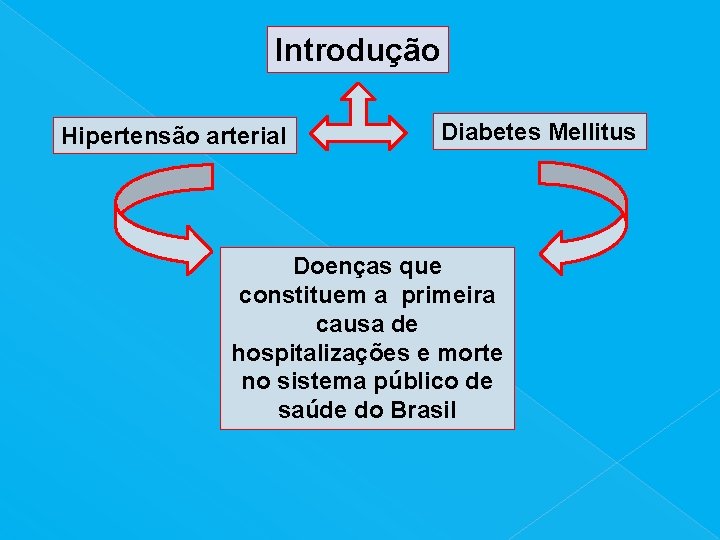 Introdução Hipertensão arterial Diabetes Mellitus Doenças que constituem a primeira causa de hospitalizações e