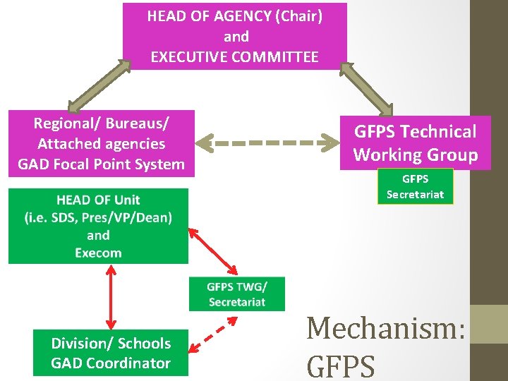 HEAD OF AGENCY (Chair) and EXECUTIVE COMMITTEE Regional/ Bureaus/ Attached agencies GAD Focal Point