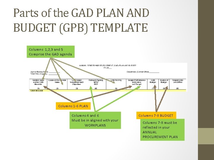 Parts of the GAD PLAN AND BUDGET (GPB) TEMPLATE Columns 1, 2, 3 and