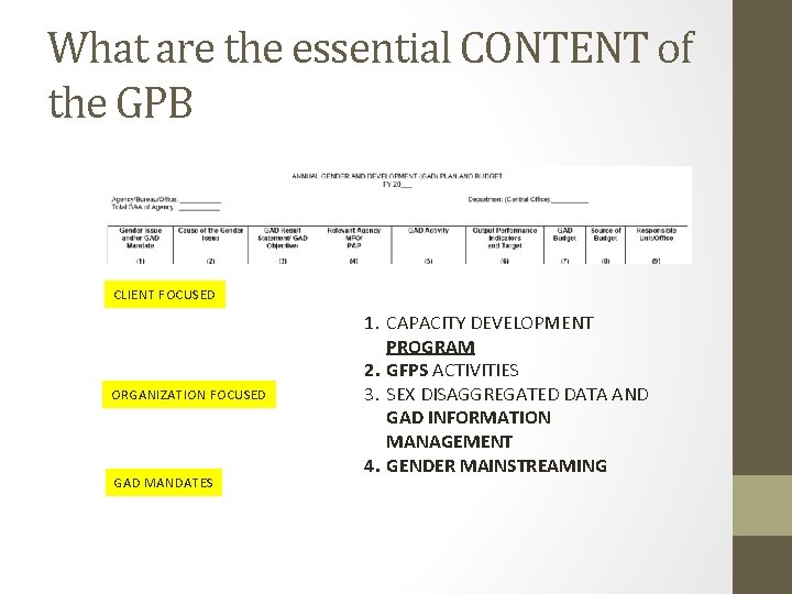 What are the essential CONTENT of the GPB CLIENT FOCUSED ORGANIZATION FOCUSED GAD MANDATES