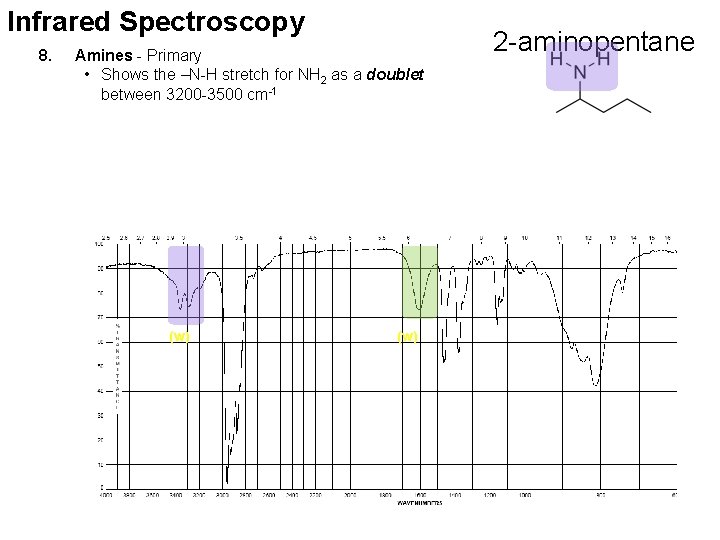 Infrared Spectroscopy 8. Amines - Primary • Shows the –N-H stretch for NH 2