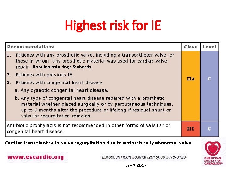 Highest risk for IE Annuloplasty rings & chords Cardiac transplant with valve regurgitation due