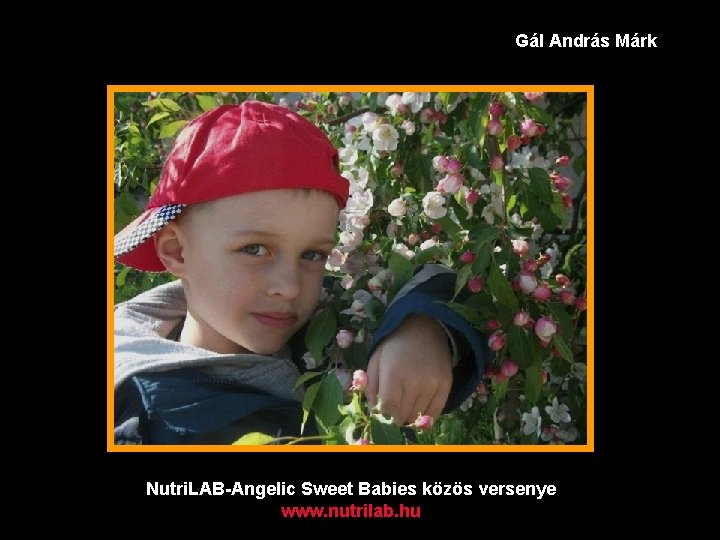 Gál András Márk Nutri. LAB-Angelic Sweet Babies közös versenye www. nutrilab. hu 