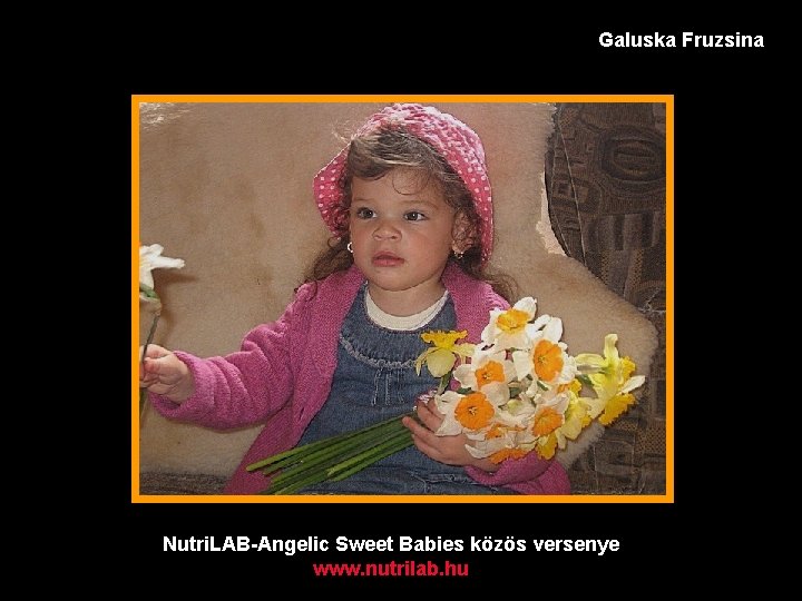 Galuska Fruzsina Nutri. LAB-Angelic Sweet Babies közös versenye www. nutrilab. hu 