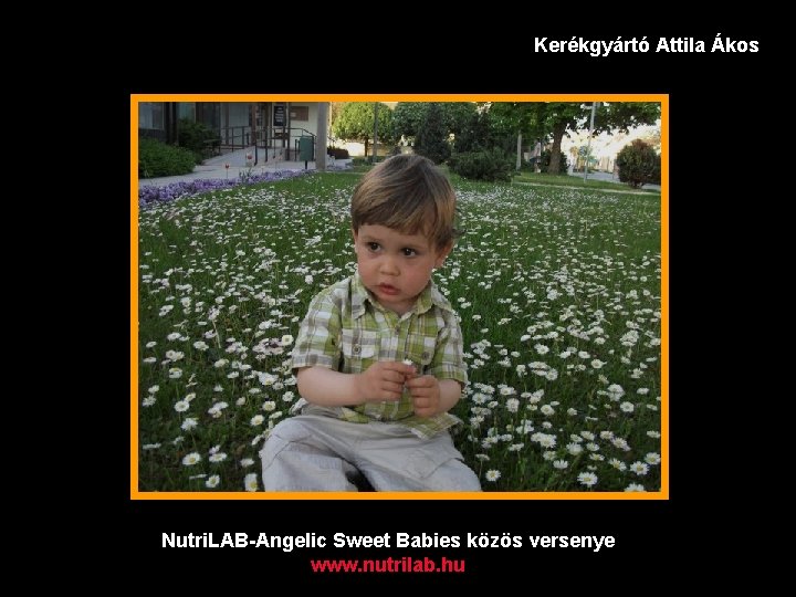 Kerékgyártó Attila Ákos Nutri. LAB-Angelic Sweet Babies közös versenye www. nutrilab. hu 