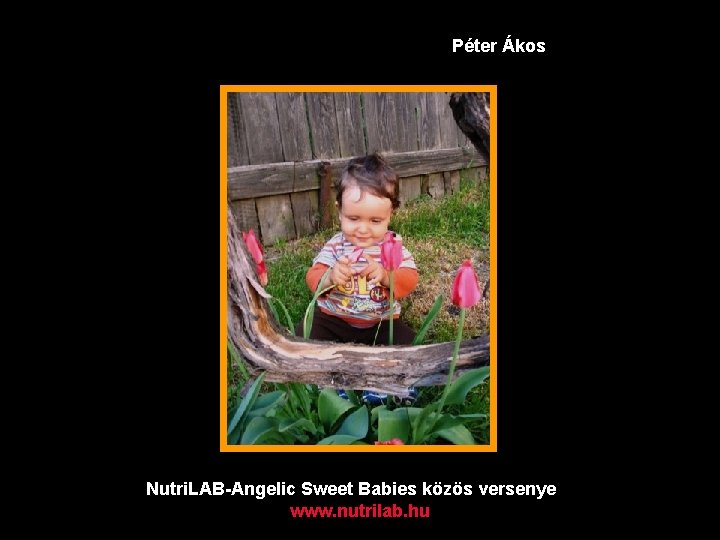 Péter Ákos Nutri. LAB-Angelic Sweet Babies közös versenye www. nutrilab. hu 