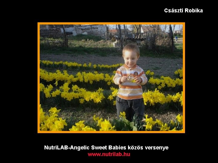 Császti Robika Nutri. LAB-Angelic Sweet Babies közös versenye www. nutrilab. hu 