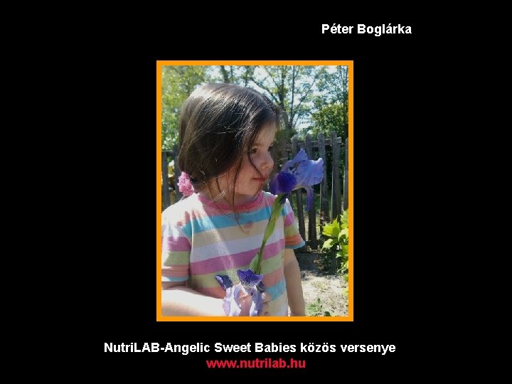 Péter Boglárka Nutri. LAB-Angelic Sweet Babies közös versenye www. nutrilab. hu 