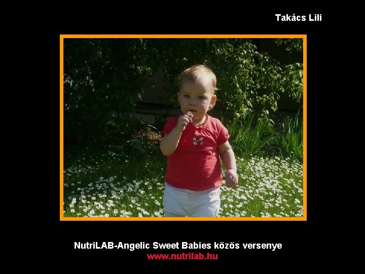 Takács Lili Nutri. LAB-Angelic Sweet Babies közös versenye www. nutrilab. hu 
