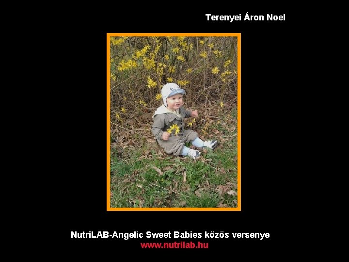 Terenyei Áron Noel Nutri. LAB-Angelic Sweet Babies közös versenye www. nutrilab. hu 