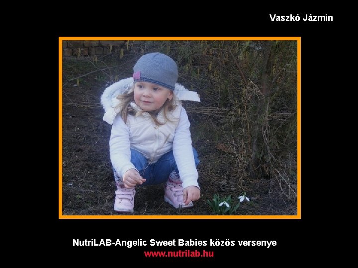 Vaszkó Jázmin Nutri. LAB-Angelic Sweet Babies közös versenye www. nutrilab. hu 