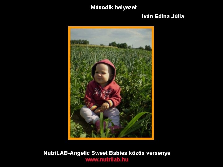 Második helyezet Iván Edina Júlia Nutri. LAB-Angelic Sweet Babies közös versenye www. nutrilab. hu