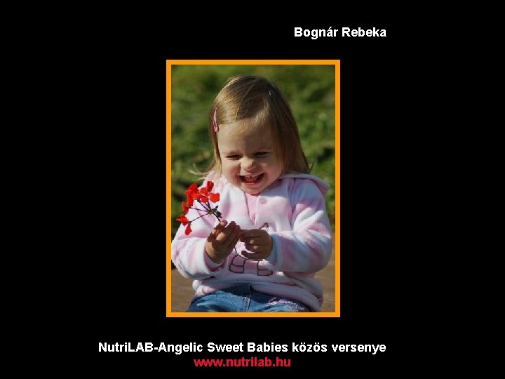 Bognár Rebeka Nutri. LAB-Angelic Sweet Babies közös versenye www. nutrilab. hu 