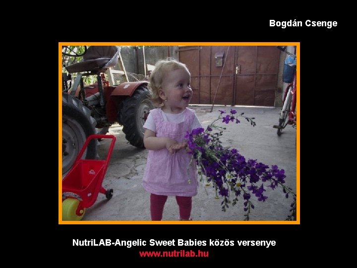 Bogdán Csenge Nutri. LAB-Angelic Sweet Babies közös versenye www. nutrilab. hu 