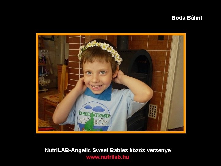 Boda Bálint Nutri. LAB-Angelic Sweet Babies közös versenye www. nutrilab. hu 