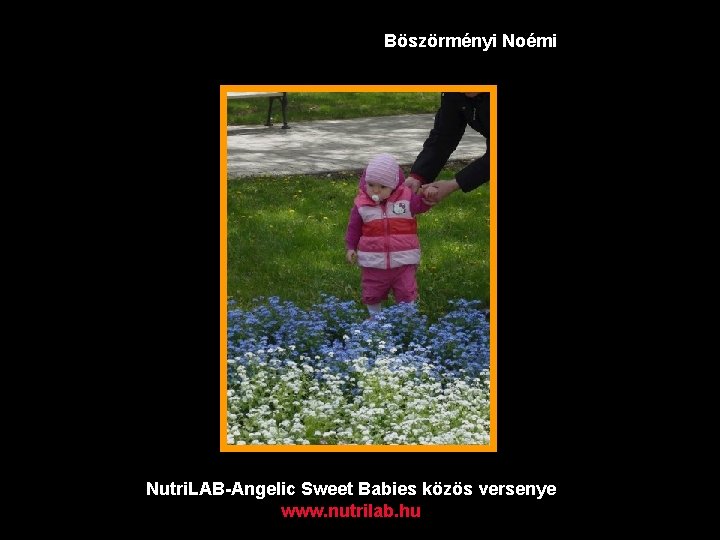 Böszörményi Noémi Nutri. LAB-Angelic Sweet Babies közös versenye www. nutrilab. hu 