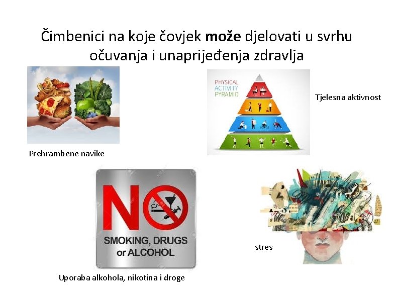 Čimbenici na koje čovjek može djelovati u svrhu očuvanja i unaprijeđenja zdravlja Tjelesna aktivnost