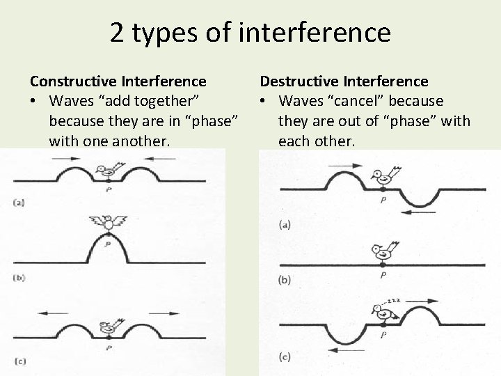 2 types of interference Constructive Interference • Waves “add together” because they are in