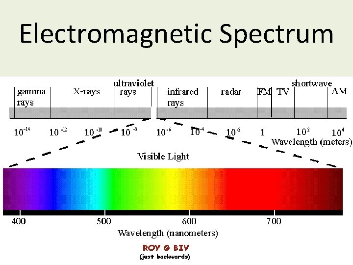 Electromagnetic Spectrum 