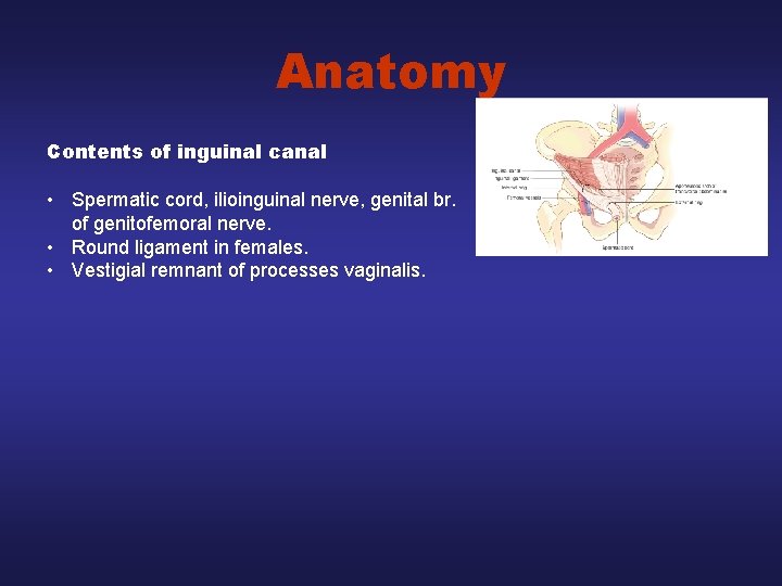 Anatomy Contents of inguinal canal • Spermatic cord, ilioinguinal nerve, genital br. of genitofemoral