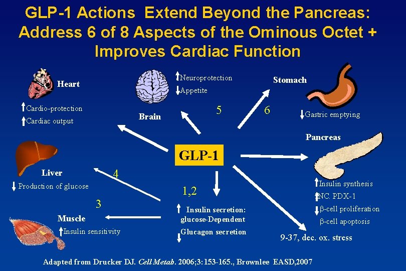 GLP-1 Actions Extend Beyond the Pancreas: Address 6 of 8 Aspects of the Ominous