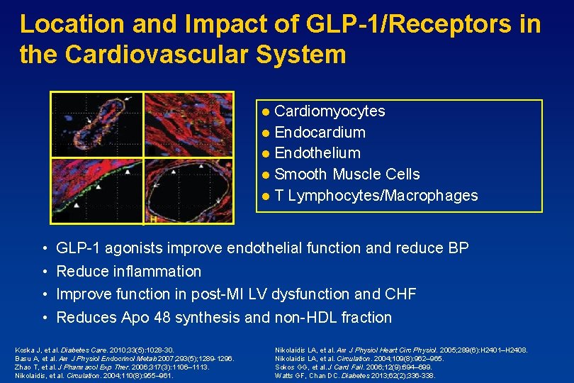 Location and Impact of GLP-1/Receptors in the Cardiovascular System Cardiomyocytes l Endocardium l Endothelium