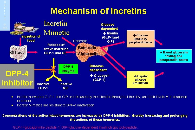 S e c t i o n Mechanism of Incretins 12, 12. 2 Ingestion