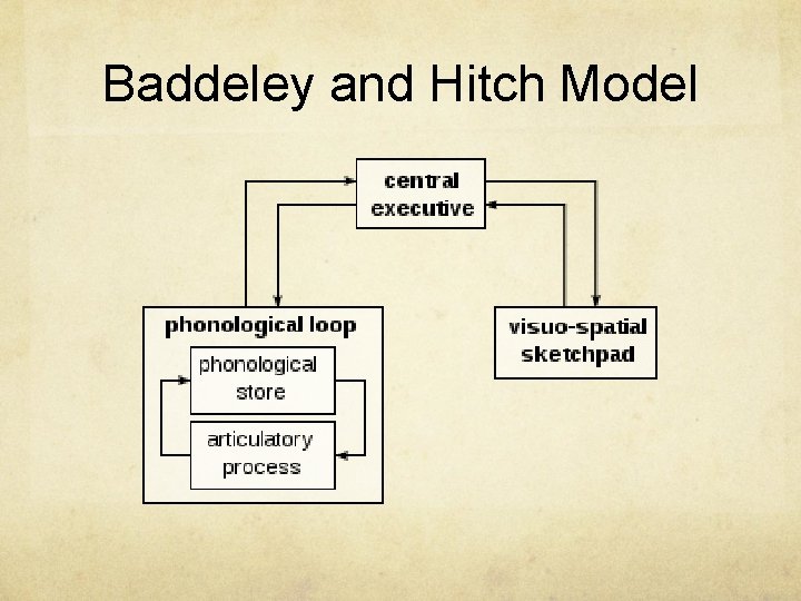 Baddeley and Hitch Model 