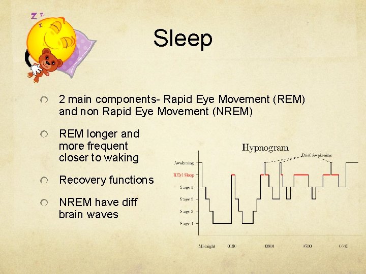 Sleep 2 main components- Rapid Eye Movement (REM) and non Rapid Eye Movement (NREM)