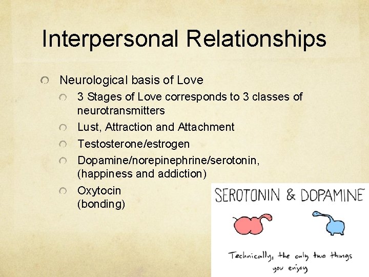 Interpersonal Relationships Neurological basis of Love 3 Stages of Love corresponds to 3 classes