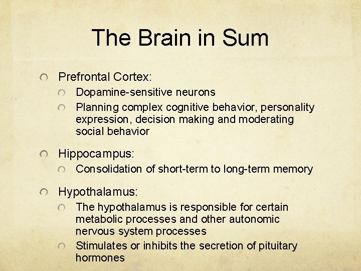 The Brain in Sum Prefrontal Cortex: Dopamine-sensitive neurons Planning complex cognitive behavior, personality expression,