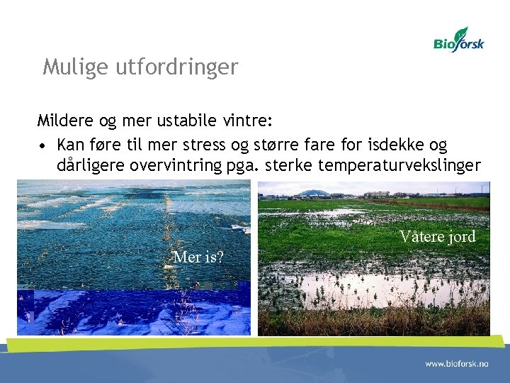 Mulige utfordringer Mildere og mer ustabile vintre: • Kan føre til mer stress og