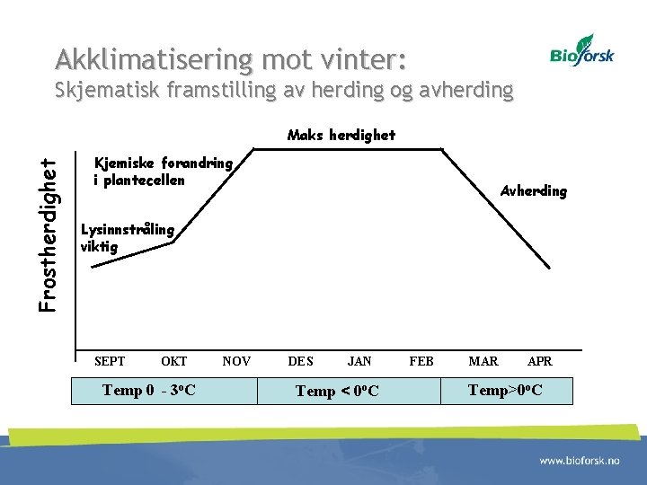 Akklimatisering mot vinter: Skjematisk framstilling av herding og avherding Frostherdighet Maks herdighet Kjemiske forandring