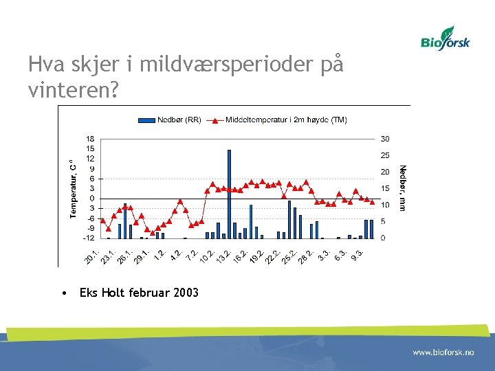 Hva skjer i mildværsperioder på vinteren? • Eks Holt februar 2003 