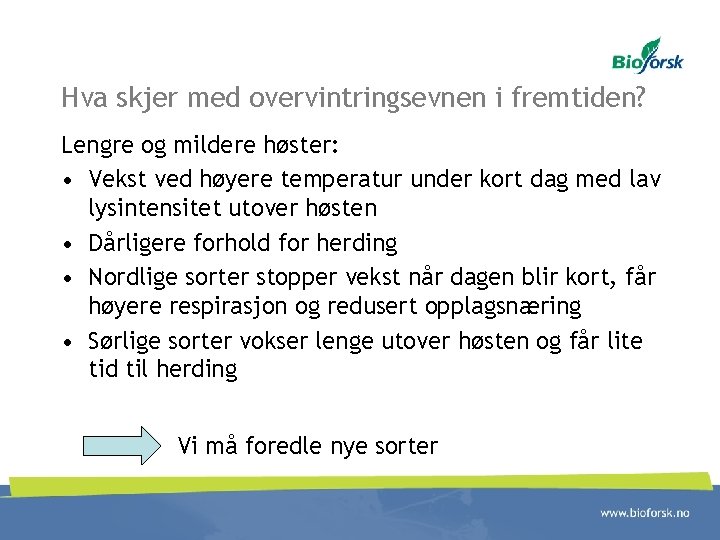 Hva skjer med overvintringsevnen i fremtiden? Lengre og mildere høster: • Vekst ved høyere