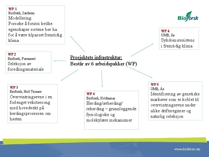 WP 1 Bioforsk, Særheim Modellering. Forsøke å forutsi hvilke egenskaper sortene bør ha for