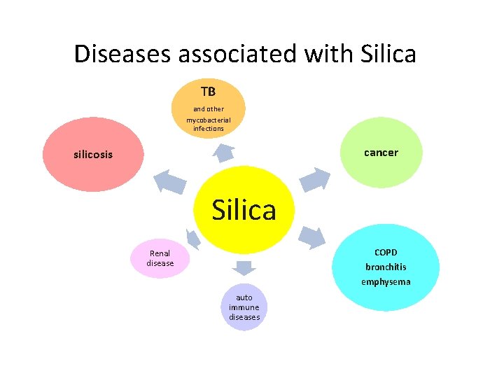 Diseases associated with Silica TB and other mycobacterial infections cancer silicosis Silica COPD bronchitis Diseases associated with Silica TB and other mycobacterial infections cancer silicosis Silica COPD bronchitis