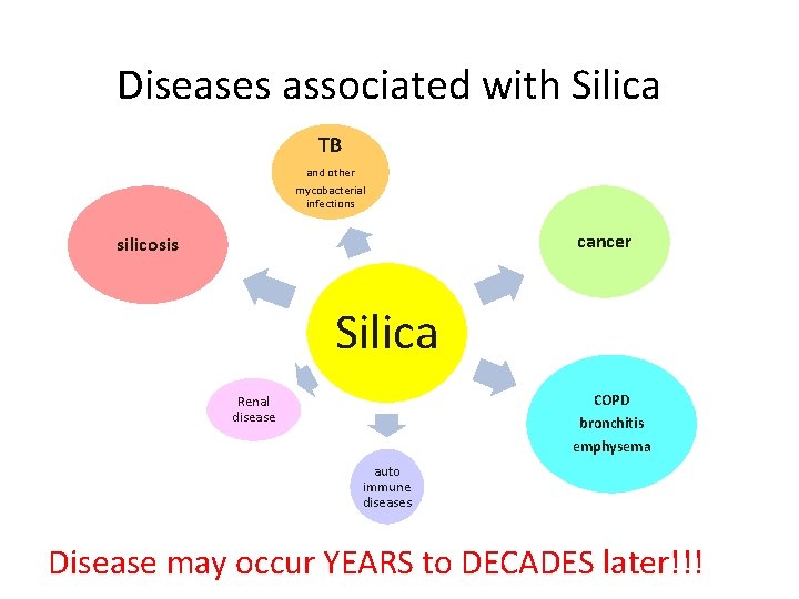Diseases associated with Silica TB and other mycobacterial infections cancer silicosis Silica COPD bronchitis Diseases associated with Silica TB and other mycobacterial infections cancer silicosis Silica COPD bronchitis