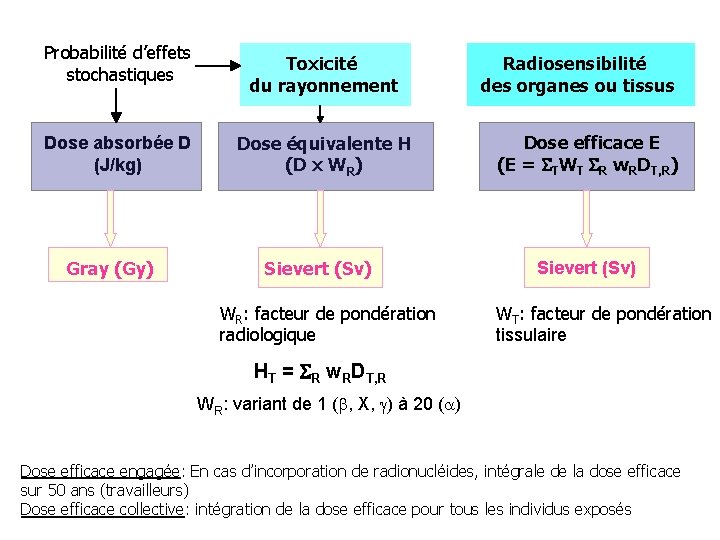 Probabilité d’effets stochastiques Dose absorbée D (J/kg) Gray (Gy) Toxicité du rayonnement Dose équivalente