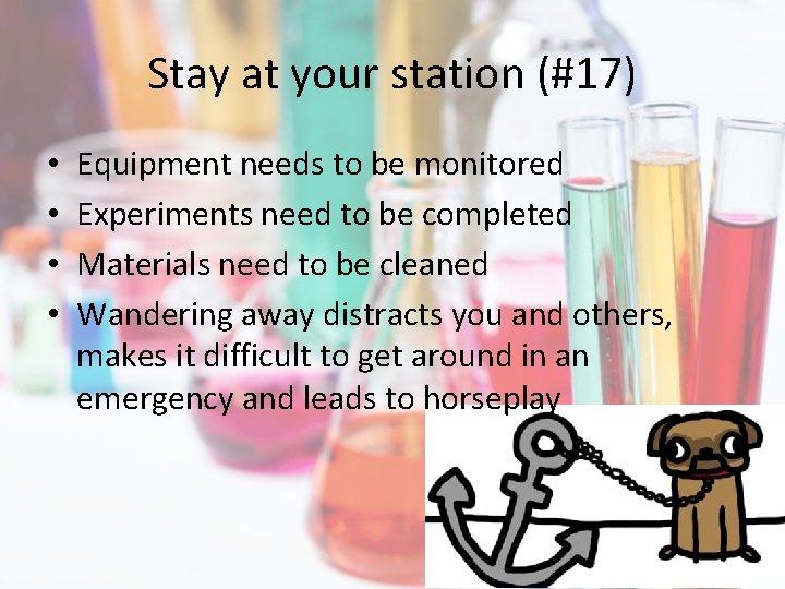Stay at your station (#17) • • Equipment needs to be monitored Experiments need