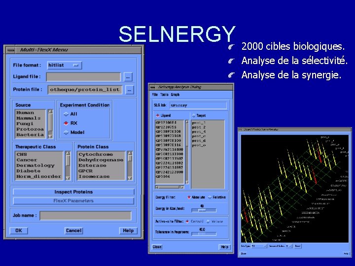 SELNERGY 2000 cibles biologiques. Analyse de la sélectivité. Analyse de la synergie. 