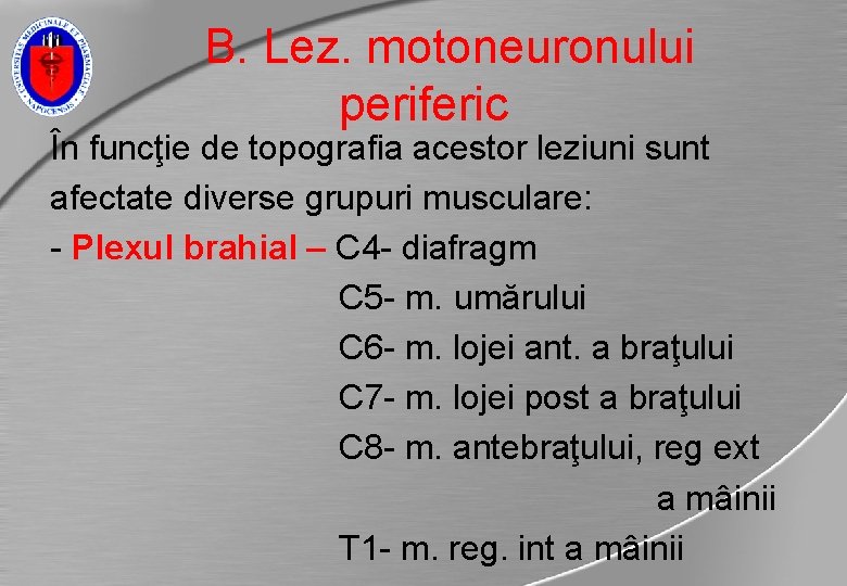 B. Lez. motoneuronului periferic În funcţie de topografia acestor leziuni sunt afectate diverse grupuri