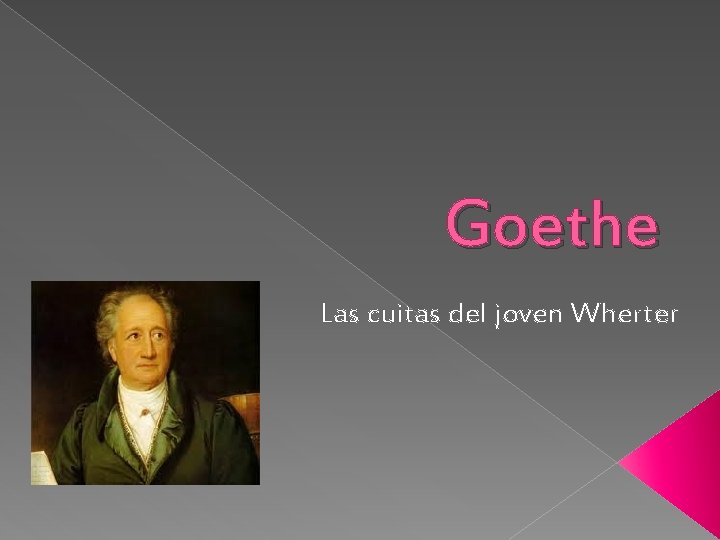 Goethe Las cuitas del joven Wherter 