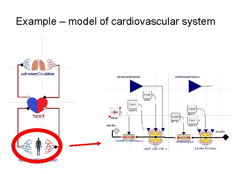 Example – model of cardiovascular system 