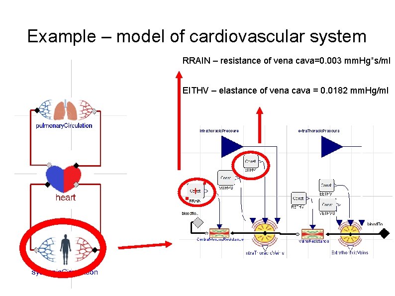 Example – model of cardiovascular system RRAIN – resistance of vena cava=0. 003 mm.