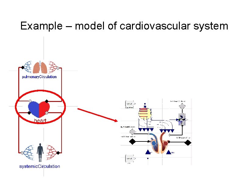 Example – model of cardiovascular system 